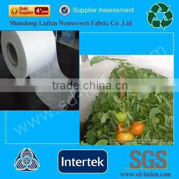 Pp Spunbond Non-woven For Packing,Agriculture,Bag,Sofa