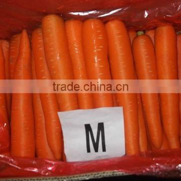 2014 fresh red carrot size and package--depend on market change