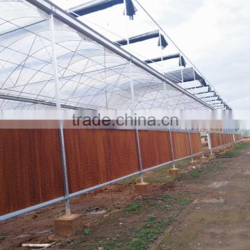 The steel structure greenhouse