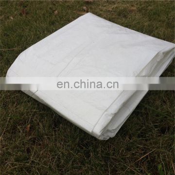 Practical waterproof protective seamless tarp in roll pe durable tarpaulin