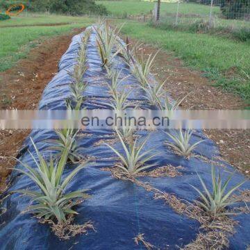 agricultural plastic weed control mat, ground cover net