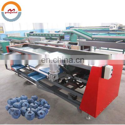 Automatic commercial blueberry size grading sorting machine industrial blueberries sizing grader sorter cheap price for sale