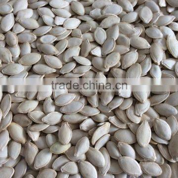 shine skin pumpkin seeds organic pumpkin seeds