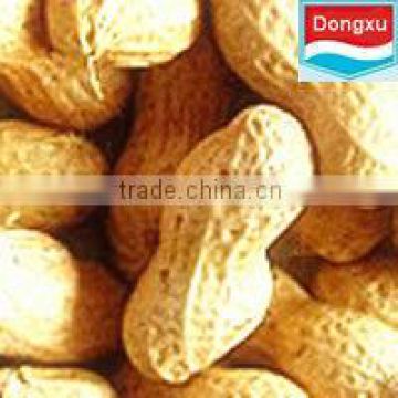 chinese peanut in shell