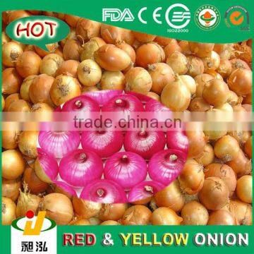 [HOT] onion exporters in china/onion malaysia/ chinese yellow onion