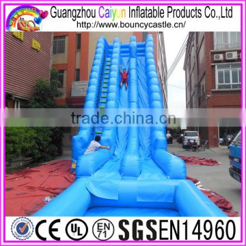 Blue Giant Inflatable Wate Slide With Pool For Sales