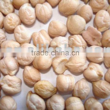 garbanzo bean from china