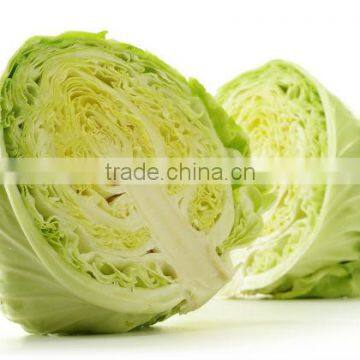 Indian Cabbages