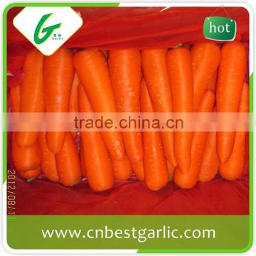 Best selling products fresh carrot