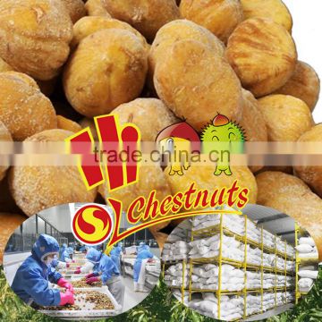 Hot sales IQF Chestnuts frozen chest nut