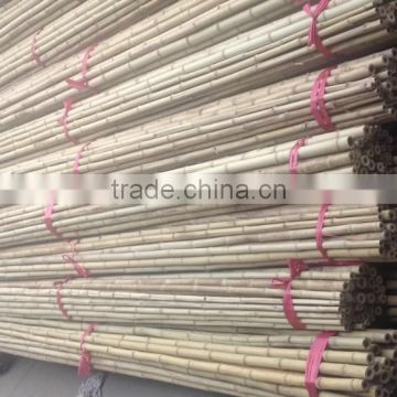 ZENT -28 white bamboo pole /bamboo stake /moso bamboo /bamboo cane