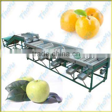 Thoyu Brand Automatic Fruit Grading Machine with Low Price(SMS:0086-15903675071)