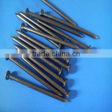 Factory Professional Common Wire Nails Iron Nails From China