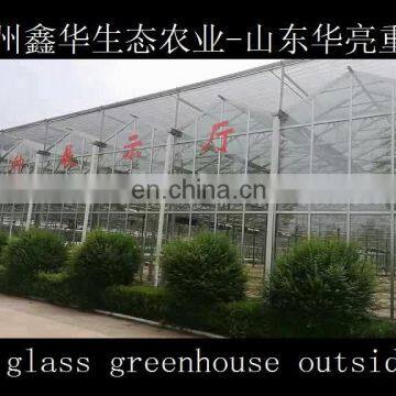 Comercial venlo glass greenhouse side ventilation glasshouse conservatory for sale