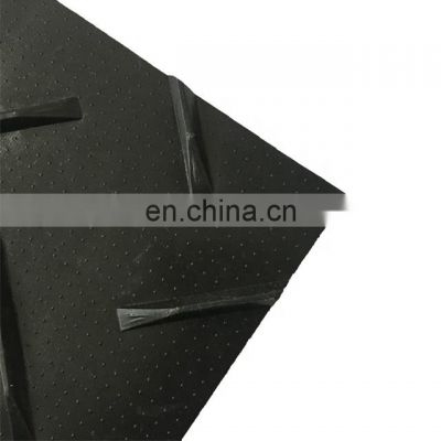 Professional Maker Factory Agricultural Outdoor Plants Black Plastic Ground Cover HDPE Temporary Road Mat