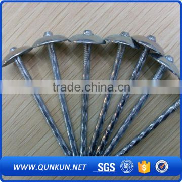 china all type of concrete bright common nails