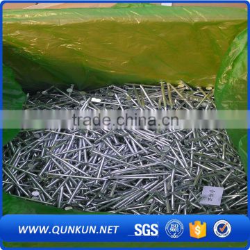 roofing coil galvanized sale common nails