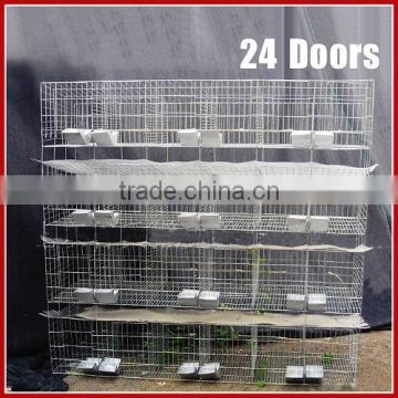 Commercial Rabbit Cage in Poultry Farm