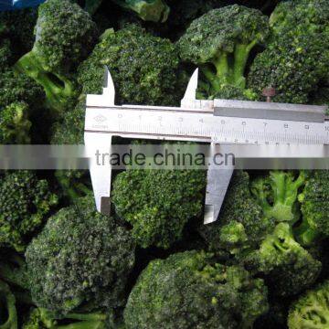 IQF FROZEN BROCCOLI FLORETS GOOD QUALITY SIZE :2-4CM,3-5CM,CHINA ORIGIN