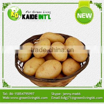 2016 New Condition Hot Sale Best Fresh Potato
