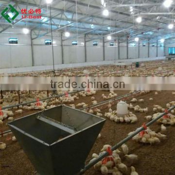 Broiler poultry farm shed design with automatic chicken raising equipment