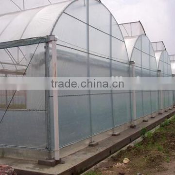 Greenhouse transparent top roofing material