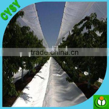 anti uv protection quality plastic rain cover /woven fabric greenhouse cover film/rain cover for strawberry plants