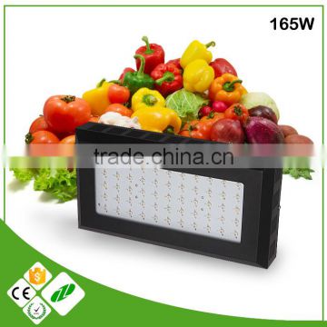 designer goods from twilight group china cree led grow light 2016 looking for exclusive distributor