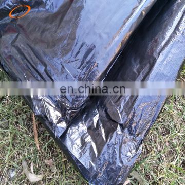 hot factory silver and black plastic mulch film/ldpe mulch film/ground cover membrane