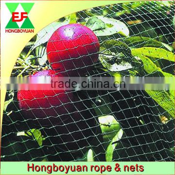 Orchard HDPE knotted anti bird netting