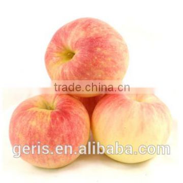 Cheap red Gala apple