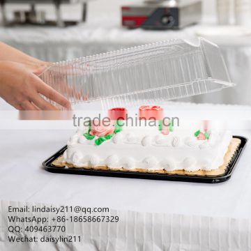 rectangular disposable cheesecake plastic containers