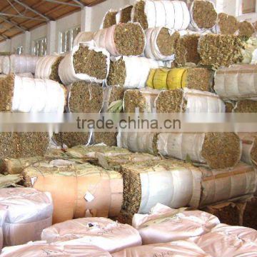 Organic export- grade bamboo leaves