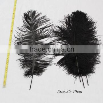 Wholesale black ostrich feather in sale