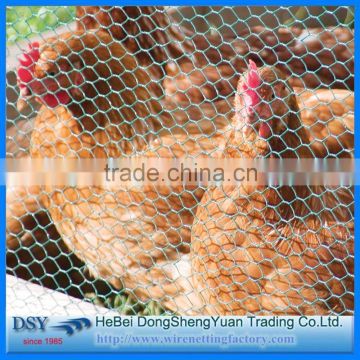 Hexagonal wire netting /chicken hexagonal wire mesh/ hexagonal wire mesh(Factory price)