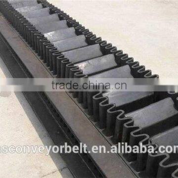 Raised Edge Conveyor Belt (Wall-Side)