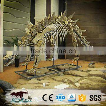 Life-Size Dinosaur Skeleton