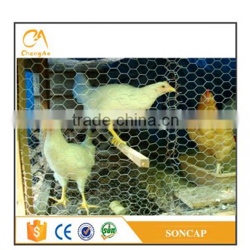 ISO9001 good sale chicken coop wire mesh /hexagonal wire mesh