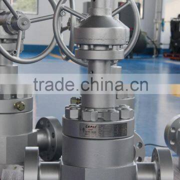 Globe Valve/API6A Globe Valve/Forged Gate Valve/Cameron Valve