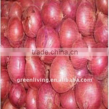 fresh onion prices