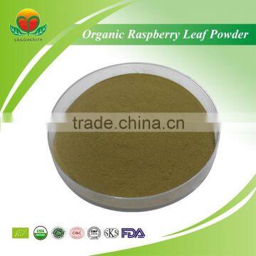 2016 Hot Sale Organic Raspberry Leaf Powder