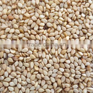 Best quality sesames seed for importers/buyers
