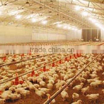 chicken houses made in china