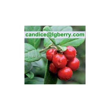 Nature 5-70%Lingonberry Anthocyanin