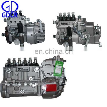 Wuxi weifu diesel fuel injection pump 3PL119 BHF3PL080040 for Kipor KD388