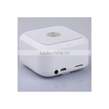 Portable Bluetooth Speaker B100
