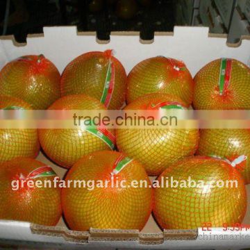 pomelo for sale