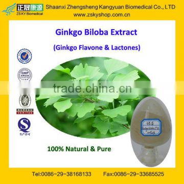 GMP Certified Manufacturer Supply Natural Ginkgo Extract
