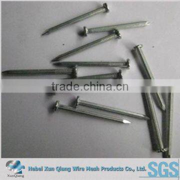 XQ supply concrete nails galvanized