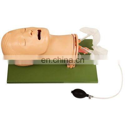 High Quality Air-way Management Model Air-way Management Manikin